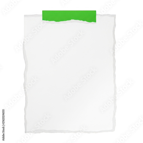 Blank piece of paper with a green adhesive tape strip isolated on transparent background