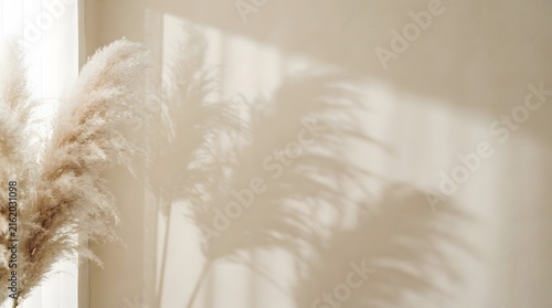 Shadow of pampas grass on a beige wall with soft sunlight