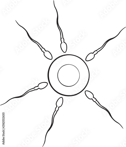 Sperm cells surrounding an egg cell illustration of fertilization process.one line vector illustration with white Background