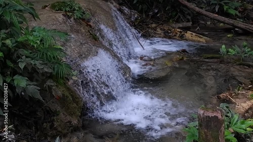 small waterfall in the forest
