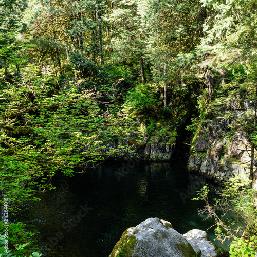 mountain landscape with river. green environment background Capilano river British Columbia Canada