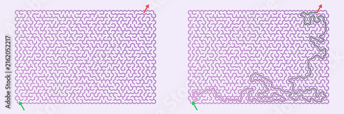 Abstract labyrinth pattern illustration with intricate lines and pathways.