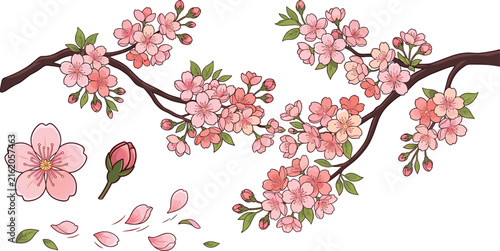 Japanese Cherry Blossom Vector Branch Set with Pink Sakura Flowers Falling Petals Bud and Green Leaves for Spring Season Greeting Card Designs