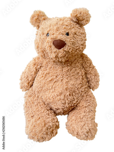 Cuadro en lienzo brown teddy bear