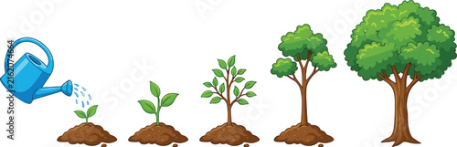 Tree growth stages from small sprout to mature big tree with watering can, plant life cycle vector illustration