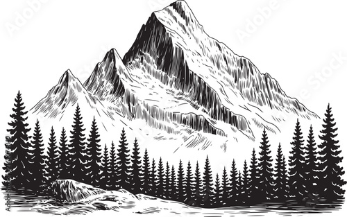 Vintage Mountain Peak Engraving Vector, Black and White Hand-Drawn Forest Landscape
