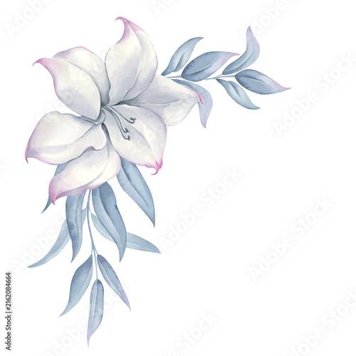 Watercolor white flower with delicate blue foliage, botanical floral illustration