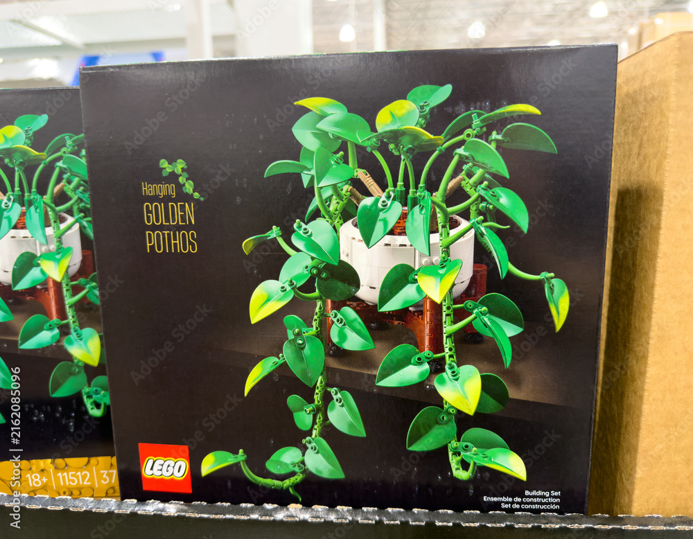 Obraz premium LEGO Botanicals Golden Pothos Plant Building Set Box