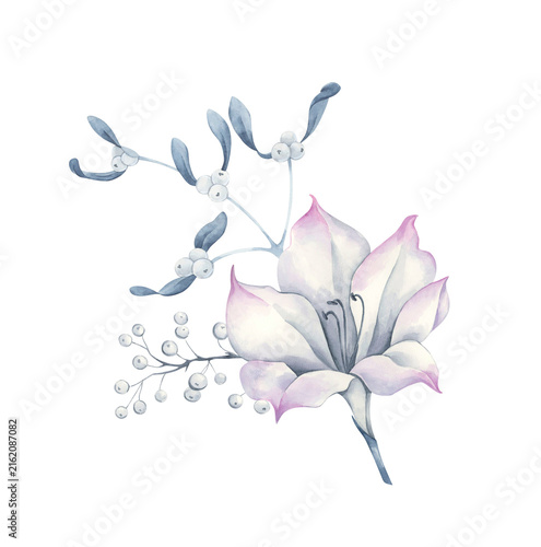 Watercolor composition of a white flower with blue foliage and a branch of an evergreen plant.	
