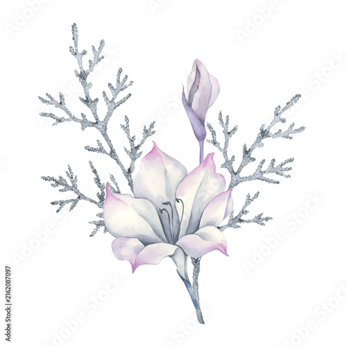 Watercolor composition of a white flower with blue foliage and a branch of an evergreen plant.	

