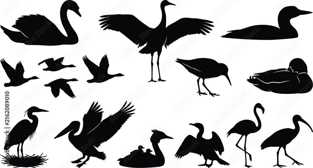 Naklejka premium Set of black silhouettes of water birds and waterfowl in various poses for design