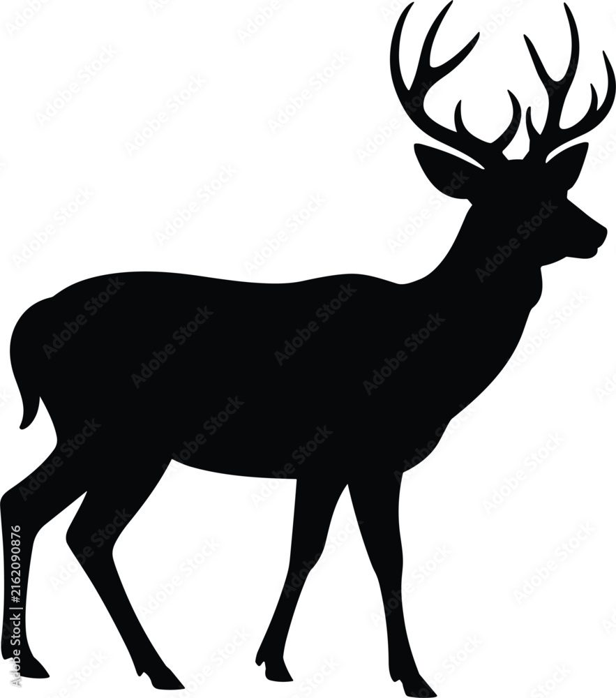 Fototapeta premium A sharp black silhouette of a stag deer standing in profile, isolated on a clean and solid white background