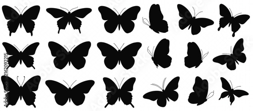 Collection of fifteen black butterfly silhouettes in various flight poses and wing patterns on a plain white background
