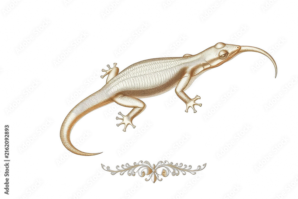 Naklejka premium Vintage golden lizard illustration on black background