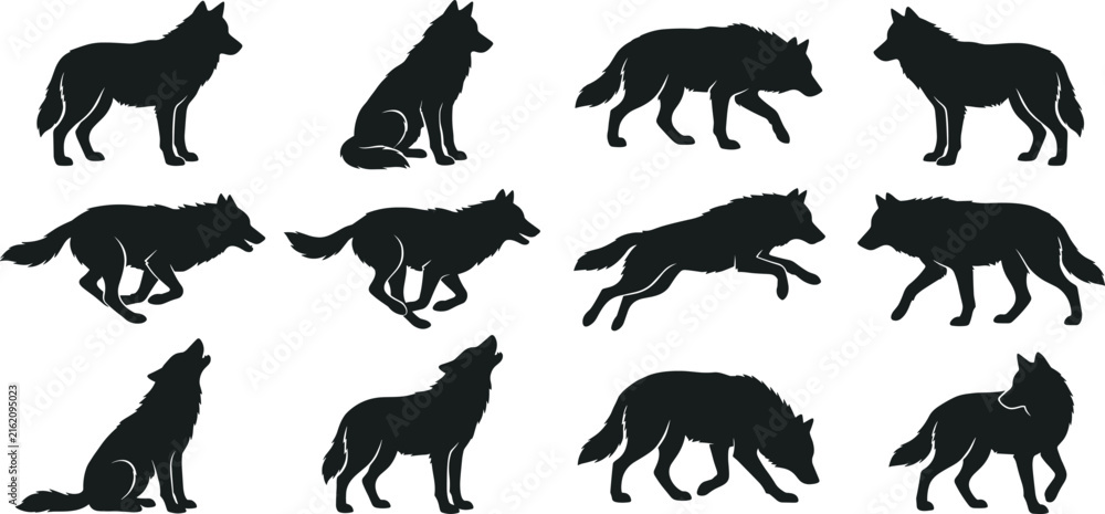 Obraz premium Wolf Silhouette Vector Collection with Standing Running and Howling Poses