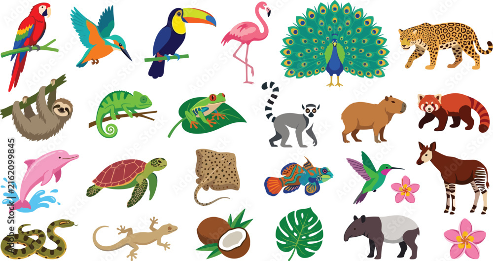 Naklejka premium Tropical Wildlife Illustration Set with Colorful Parrot, Toucan, Peacock, Flamingo, Leopard, Sloth, Chameleon, Turtle, Hummingbird, and Exotic Animals