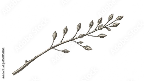 Silver metallic branch with buds isolated on black