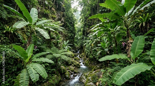 Lush tropical rainforest landscape with a flowing river and vibrant green banana trees in a deep mountain gorge