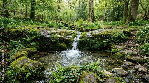Beautiful Serene Forest Stream with Crystal Clear Water Cascading over Green Mossy Rocks in a Summer Woodland Scene