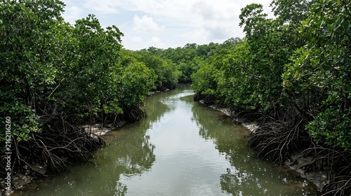 Lush Tropical Mangrove Forest River with Dense Green Foliage and Complex Root Systems Under Soft Cloudy Sky Scene