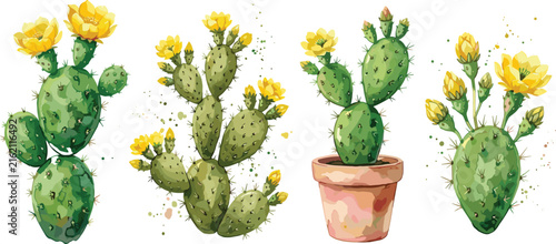   Blooming prickly pear cactus watercolor vector illustration set with yellow flowers on white background