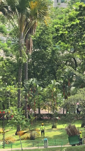 Malaysia, Kuala Lumpur 19.08.2026 - Park service workers cleaning up, removing trash, cutting down palm trees, trimming palm branches, area maintenance
