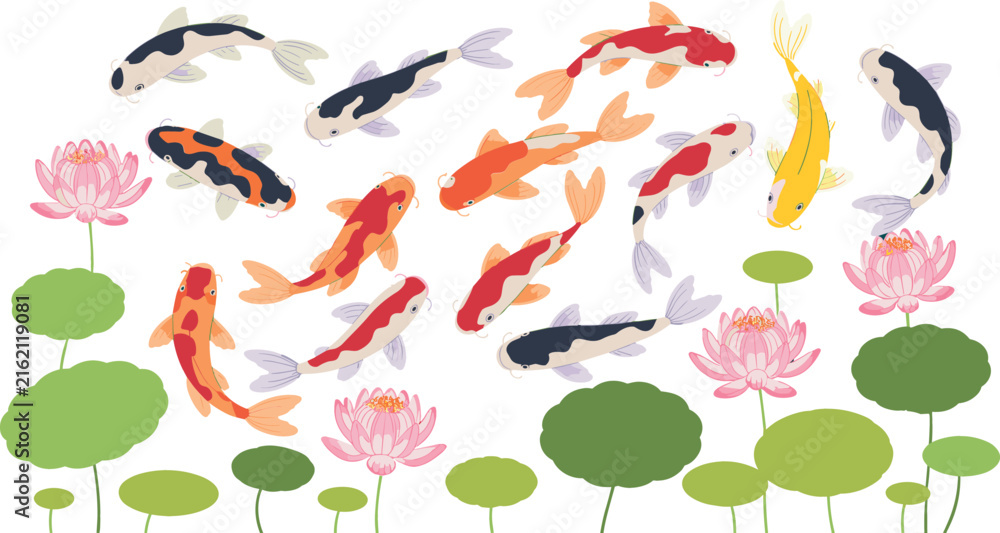 Fototapeta premium Japanese Koi Fish Vector Illustration Set with Pink Lotus Flowers and Green Lily Pads for Traditional Oriental Pond Graphic Designs