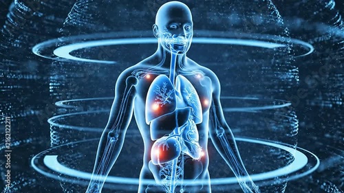 Futuristic Health Insurance Approval Concept With Digital Human Silhouette And Glowing Organs In A Technological Environment