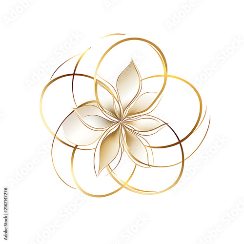 Decorative floral arrangement with blooming flowers and natural foliage