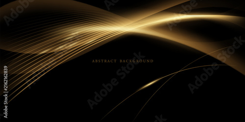 Modern abstract vector design with a black background and luxurious elements.