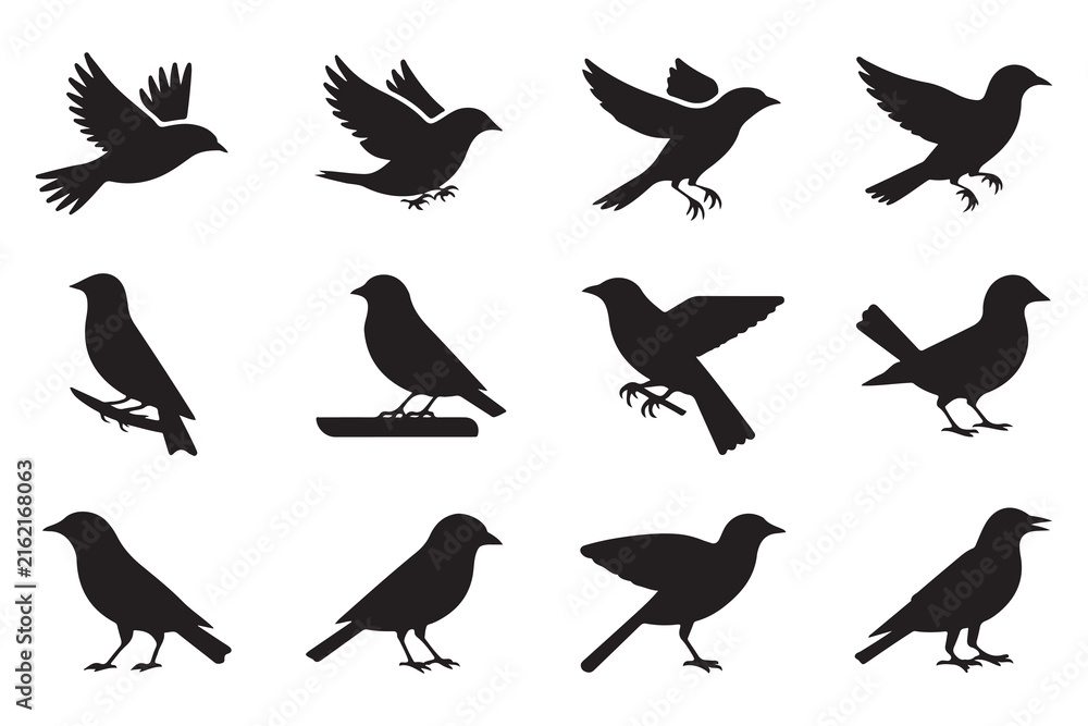 Naklejka premium Bird Flight and Wildlife Silhouette Collection