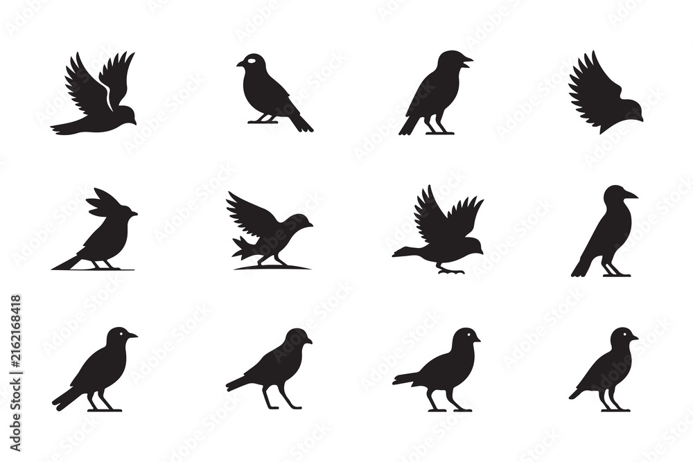 Naklejka premium Bird Wildlife Black Silhouette Set with Different Poses