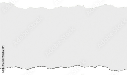 Wide Torn Paper Strip with Rough Irregular Edges and White Paper Texture, Transparent Background