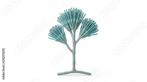 Penicillium mold antibiotic source simple portrait white background