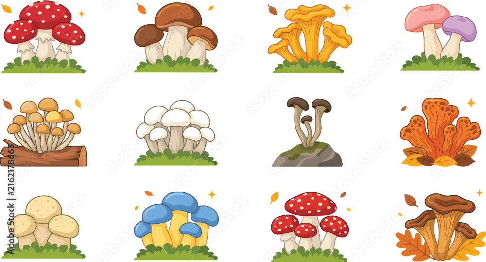 Obraz premium Edible and Poisonous Mushroom Vector Icon Set Featuring Whimsical Fungi Chanterelles Amanita Morels and Autumn Toadstools for Nature Graphic Designs