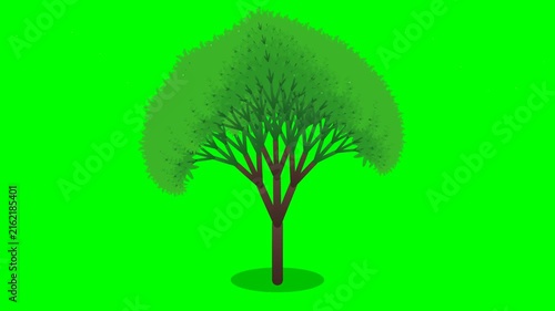 Green Tree Foliage Illustration Isolated on Chroma Key Background
