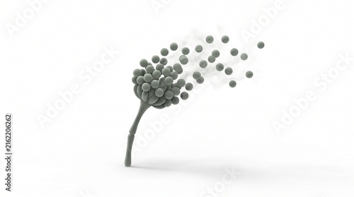 Mold spore dispersal simple portrait 3D illustration white background