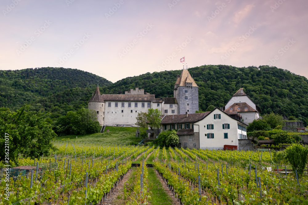 Fototapeta premium Scenic landscape of medieval schloss birseck castle and vineyard in Switzerland