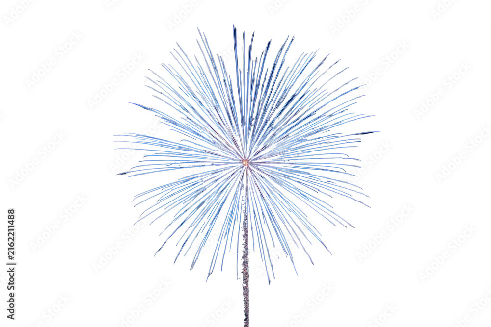 Fototapeta premium Large Blue Firework Burst with Fine Streaks