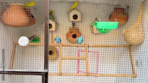 A charming collection of colorful parrots living inside the cage beautifully crafted miniature birdhouse nestled. 4k video