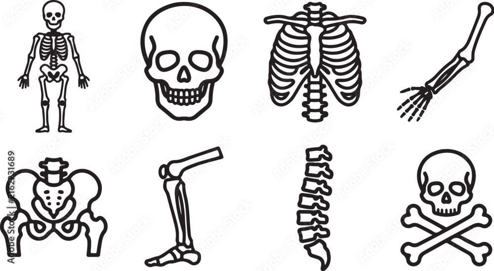 Naklejka premium Black and white skeleton and bone illustration set