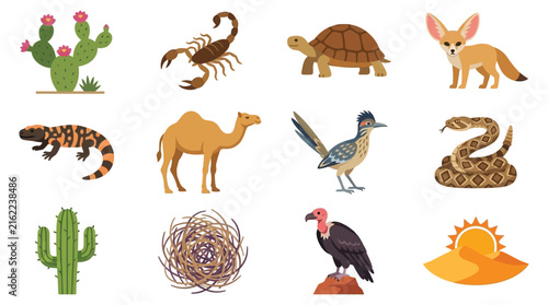 Desert animal and plant collection a flat vector illustration