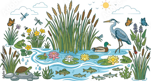 Pond Ecosystem Vector Illustration Set with Heron, Duck, Turtle, Fish, Water Lilies, and Cattails for Nature Education and Wildlife Graphic Designs