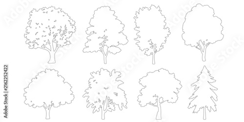 Collection of hand drawn trees with different shapes design . Architectural landscape design elements, vector forest garden section illustration