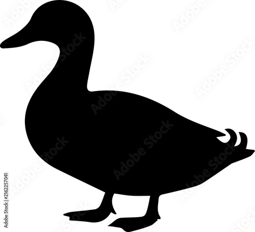 Bild auf Leinwand Duck silhouette profile view isolated on transparent background for nature icon