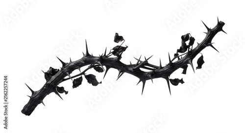 Curved black thorny branch with dark leaves and sharp spikes