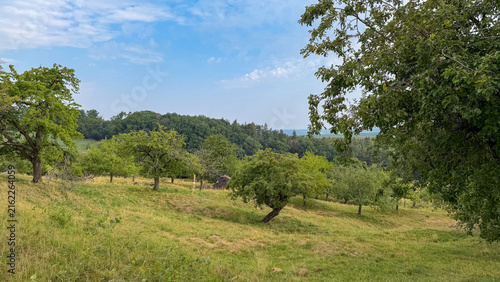 Cuadro en lienzo Scenic Orchard Landscape at Kappelbuck in Franconia, Bavaria