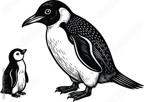 Black and white crow parent with young chick vintage engraved wildlife illustration isolated on white background