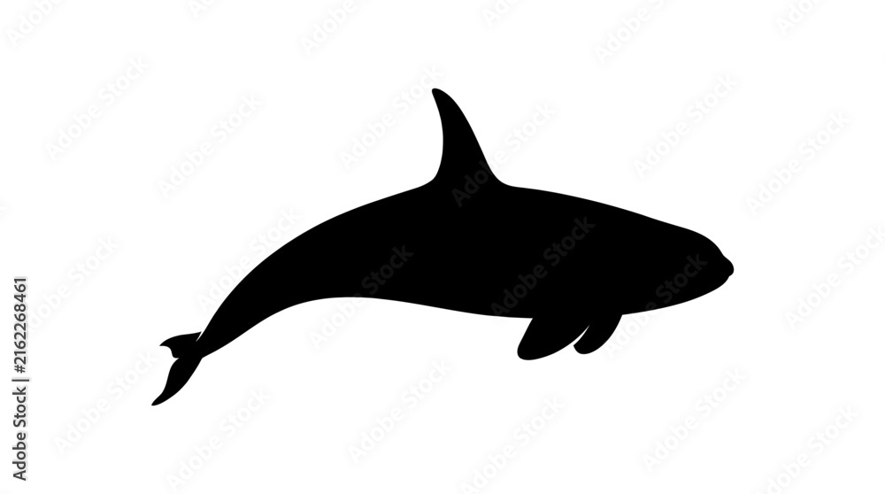 Fototapeta premium Black silhouette of an orca whale swimming elegantly in a minimalist vector design style illustration