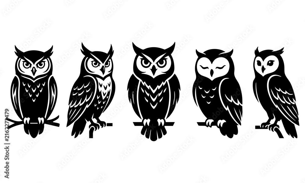 Fototapeta premium Set of black and white owl bird icons featuring different poses and expressions in vector